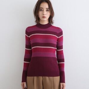 INDIVI【洗える】マルチボーダー ハイネックニット