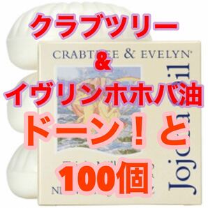 クラブツリー＆イヴリン ホホバミルドソープ25g 100個　セレブ　リゾート　ヒルトン　Hilton アロマ　クールビューティ