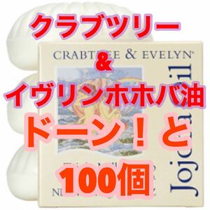 クラブツリー＆イヴリン ホホバミルドソープ25g 100個　セレブ　リゾート　ヒルトン　Hilton アロマ　クールビューティ