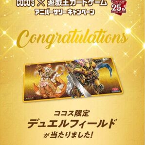 【新品】ココス限定デュエルフィールド
