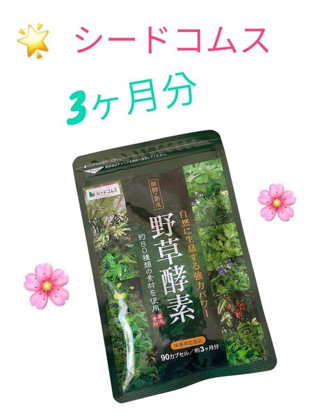 シードコムス 野草酵素 サプリメント 3ヶ月分 90粒