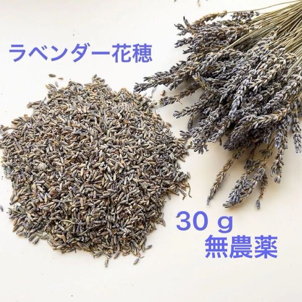 ラベンダー花穂ドライフラワー 香りよい癒しのハーブ 花粒30gドライフラワー花材 無農薬 ナチュラル たくさん有ります
