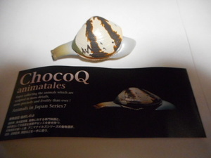 chocolate Q japanese animal * no. 7.* clam *190