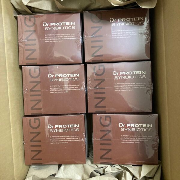 Dr.PROTEIN SYNBIOTICS リッチチョコ 個包装 6個