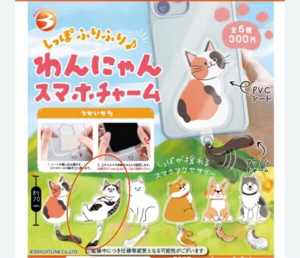 新品、未開封 ガチャガチャ しっぽふりふり♪わんにゃんスマホチャーム(さばとら)