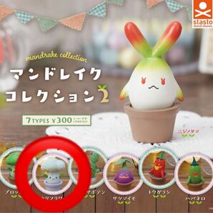 【未開封】ガチャ マンドレイクコレクション2 カリフラワー