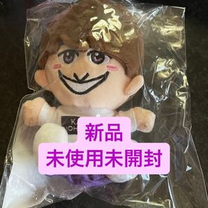 ちびぬい 小島健