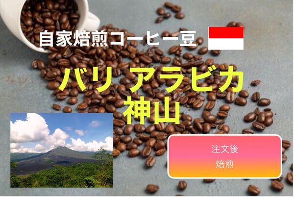 (注文後焙煎コーヒー豆)バリ アラビカ 神山300g