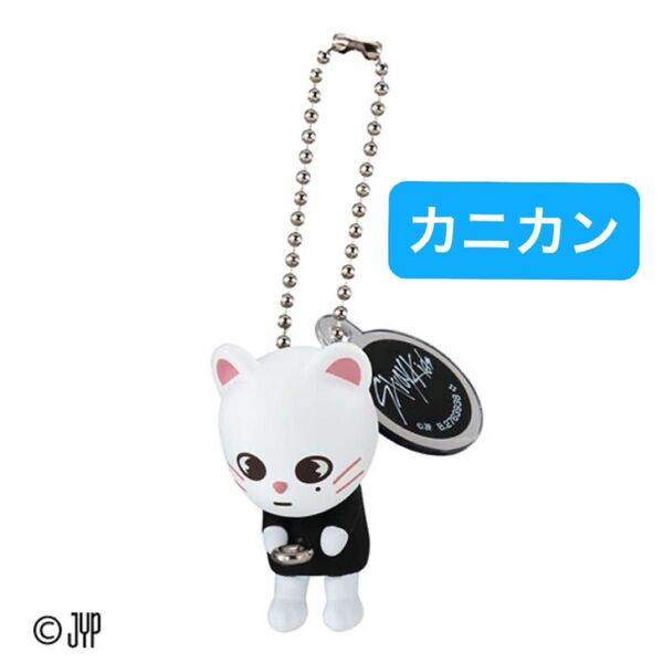 スキズ SKZOO つまんでつなげてますこっと でらっくす ヒョンジン Jiniret カニカン
