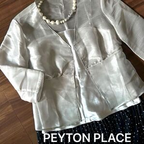 【Peyton place】シアー オーガンジー シルバー ジャケット アンサンブル キャミソール +2枚