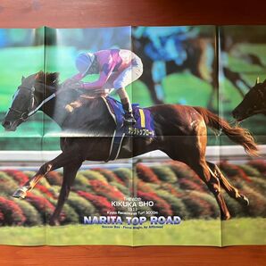 ナリタトップロード ポスター 菊花賞 競馬 サラブレ 雑誌 付録