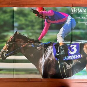メイショウドトウ ポスター 競馬 サラブレ 雑誌 付録