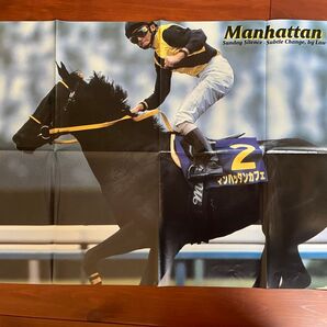 マンハッタンカフェ ポスター 競馬 サラブレ 雑誌 付録