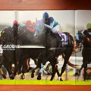 アドマイヤグルーヴ ポスター 競馬 サラブレ 付録