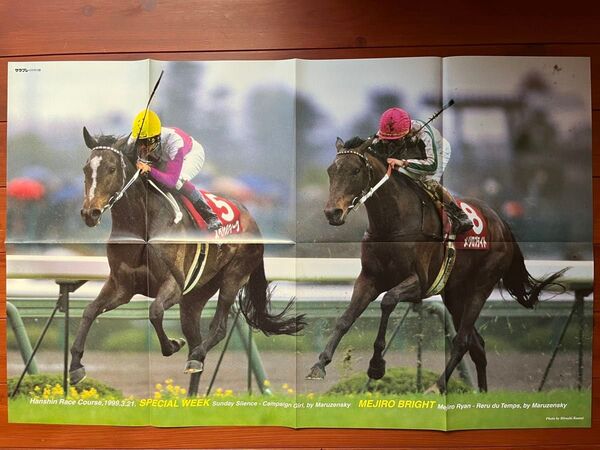 スペシャルウィーク ポスター 阪神大賞典 競馬 サラブレ 雑誌 付録