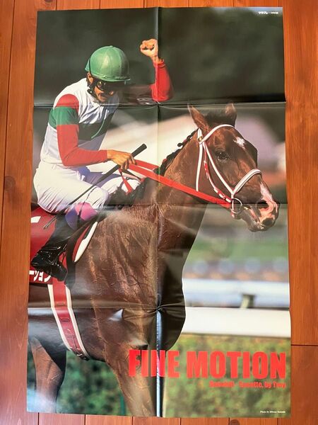 ファインモーション ポスター 競馬 サラブレ 雑誌 付録