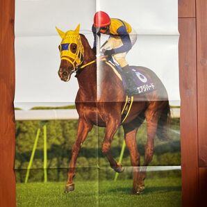 エアジハード ポスター 競馬 サラブレ 雑誌 付録