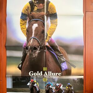 ゴールドアリュール ポスター 競馬 サラブレ 雑誌 付録