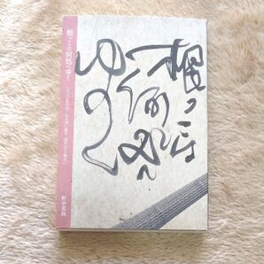 根っこは何処へゆく 尺八とスケボーから問い直す近代化と現代 野中克哉/著