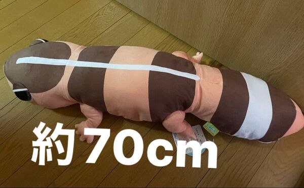 レオパのきいちゃんBIGぬいぐるみ にーたん