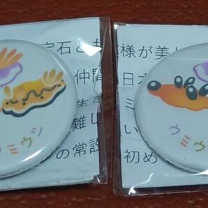 鹿児島水族館 限定 ガチャガチャ 缶バッジ ウミウシ