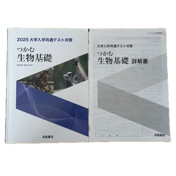 共通テスト対策 生物基礎問題集 新課程 別冊解答編付属