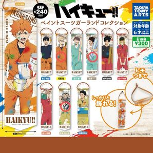 ハイキュー ペイントスーツガーランドコレクション 3点セット