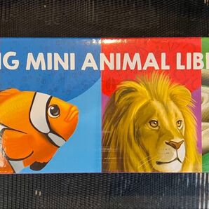 英語絵本 my big mini animal library 20冊