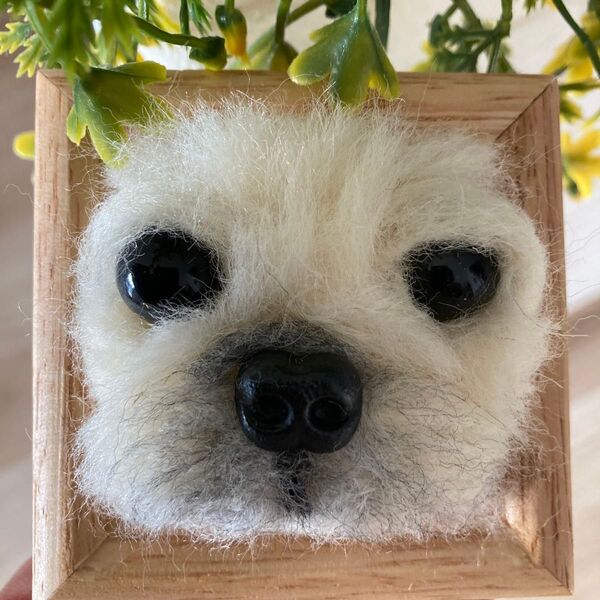 ハンドメイド 羊毛フュエルト ペキニィーズ 犬