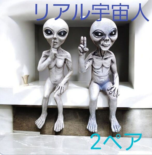 宇宙人 置物