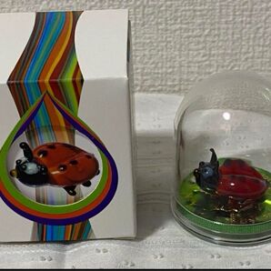 2022 カナダ メイプルリーフ ムラーノガラス テントウムシ 1オンス 銀貨 コイン