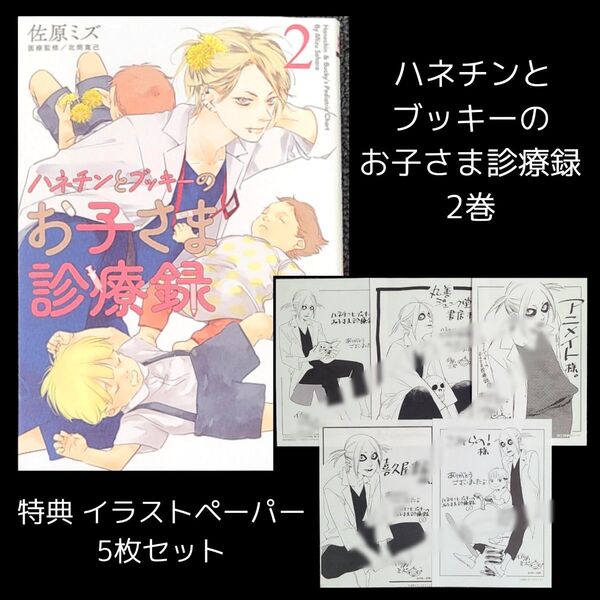 ハネチンとブッキーのお子さま診療録 2巻 特典 イラストペーパー 5枚セット