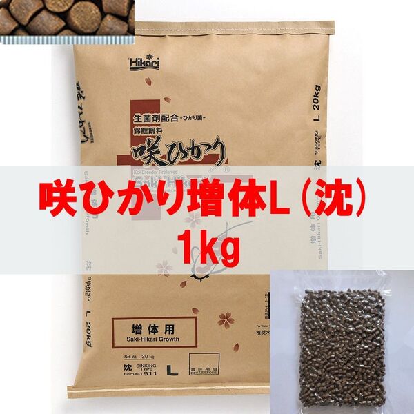 【送料無料】キョーリン 咲ひかり 増体用 Lサイズ(沈下) 1kg 増体・錦鯉・金魚・川魚・熱帯魚