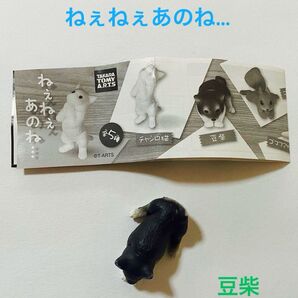 ねえねえあのね…☆豆柴 マスコット☆ガチャ 未使用品