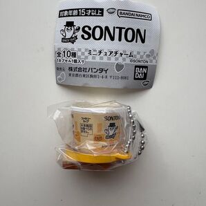 SONTON ミニチュアチャーム