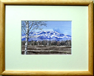 Art hand Auction ○No. 7197 Mount Shirane in early spring / Painted by Chihiro Tanaka (four seasons watercolor) / Comes with a gift, painting, watercolor, Nature, Landscape painting