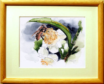 ■ No. 6755 茶花与蜜蜂 作者：田中健二 / 附赠礼物, 绘画, 水彩, 自然, 山水画