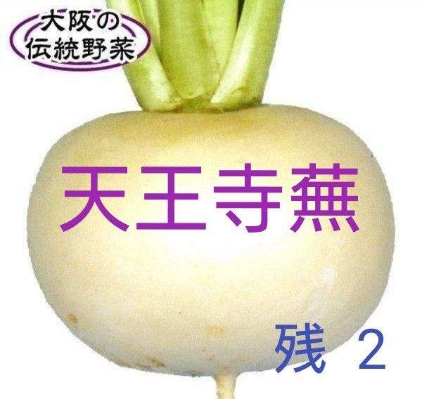 《天王寺蕪》 カブ 種子 1g 家庭菜園 ベランダ栽培 プランター栽培 野菜