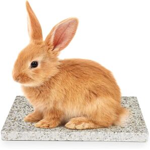 ペットひんやりマット 猫 子猫 子犬 ウサギ クールマット ハムスター涼しい 25*15*1.5cm 天然石 熱中症対策