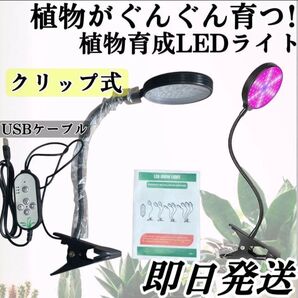 未使用品◇即日発送!タイマー付 植物育成ライトLED 観葉植物 家庭菜園 USB 多肉植物 クリップ式