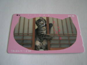 3.【新品】ネコ 猫*テレカ*５０度数