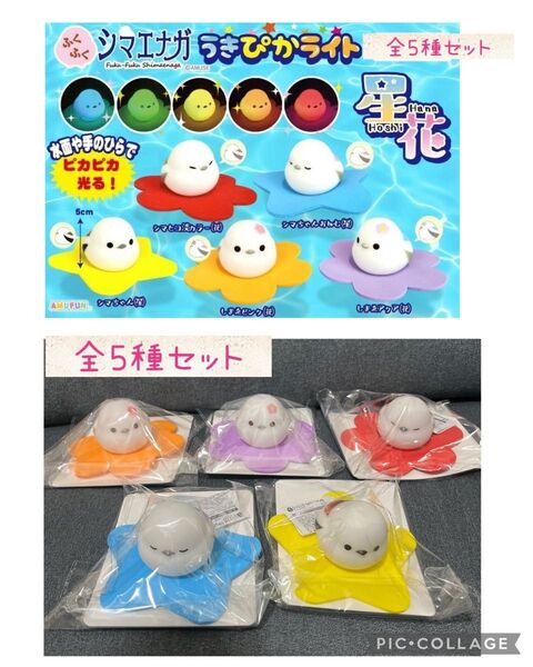 ★新品未使用品★ふくふくシマエナガ うきぴかライト 全5種セット