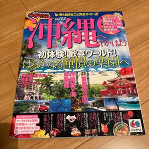 沖縄へでかけよう 12