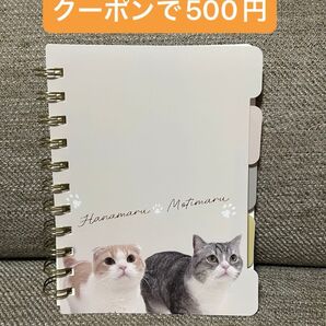 【新品】もちまる日記 リングノート スリーピー ねこ