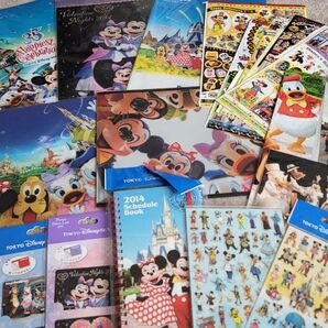 ディズニー 実写グッズ まとめ売り