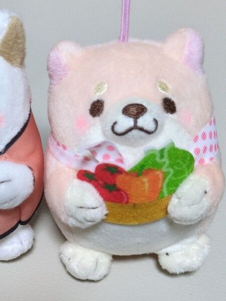忠犬もちしば マスコット
