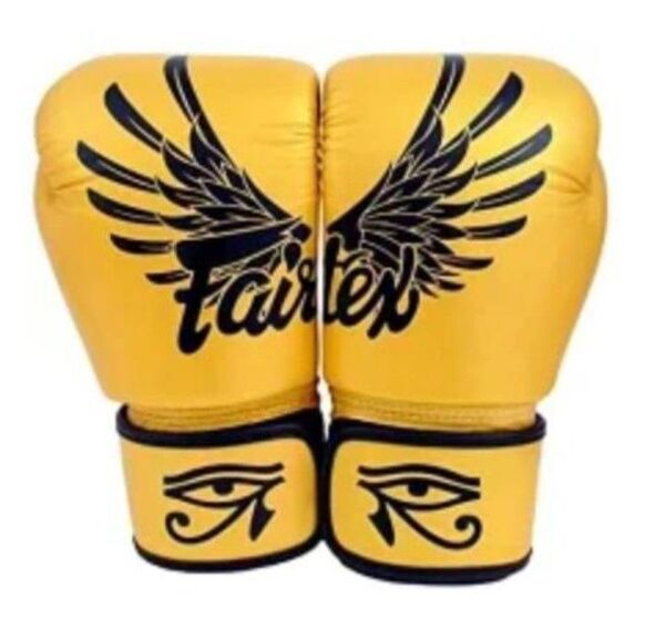 Fairtex falcon ファルコン グローブ 16oz