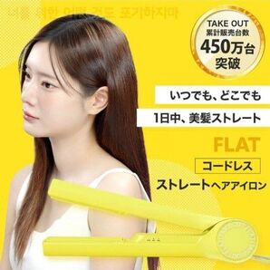 TAKE OUT 韓国発 ストレート ヘアアイロン コードレス 3段階温度調整