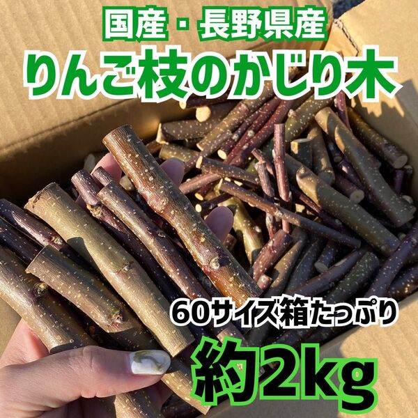 ★大量 りんご かじり木 2kg 60サイズ箱いっぱい うさぎ チンチラ ハムスター 小動物 齧歯類 げっ歯類 ストレス発散 19