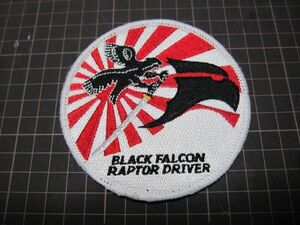 F-22　BLACK　FALCON　RAPTOR　DRIVER　白